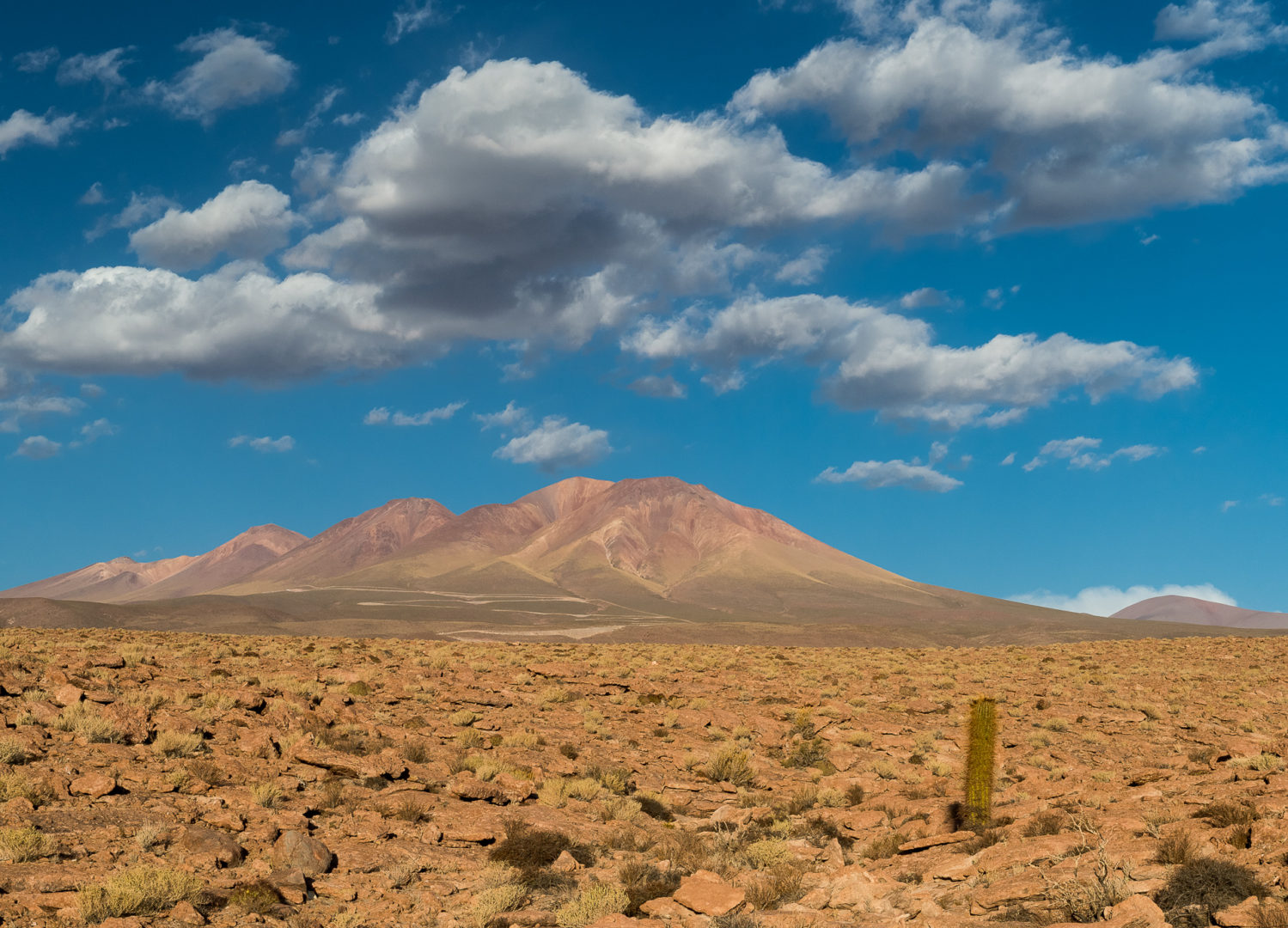 El desierto de Atacama, el más seco del mundo