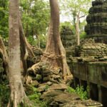 Ruta por el tesoro Jemer de la selva de Camboya