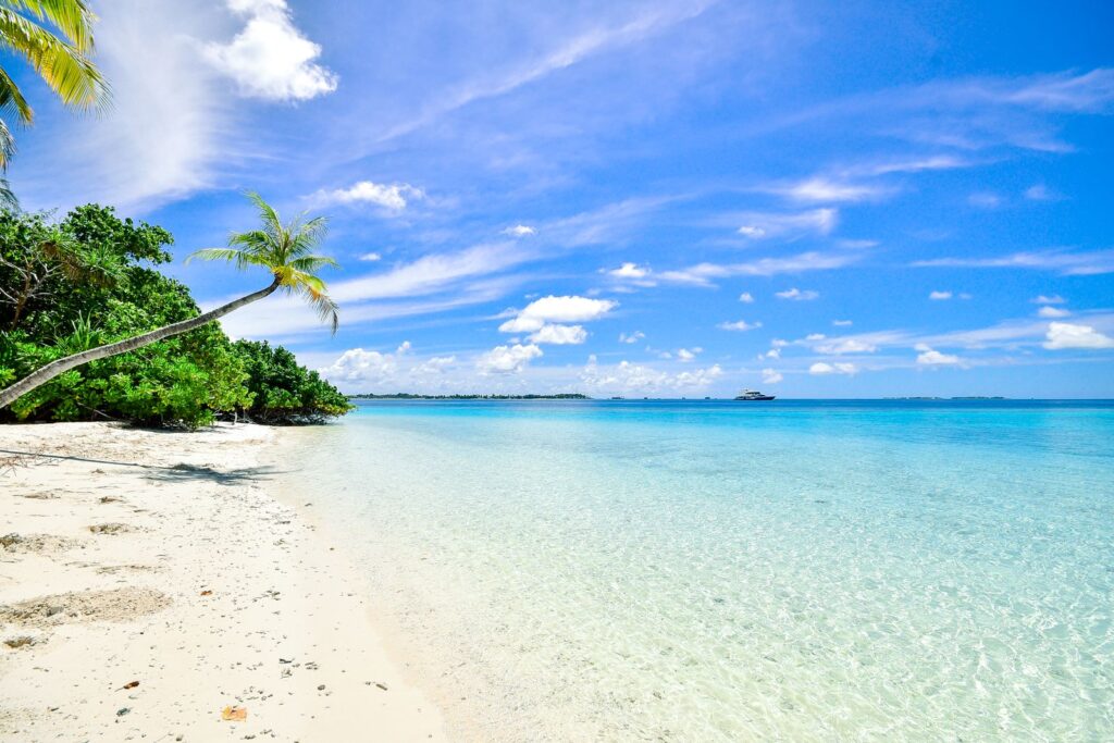 Playa de arena blanca y mar turquesa con palmeras, ambiente caribeño tipo Punta Cana