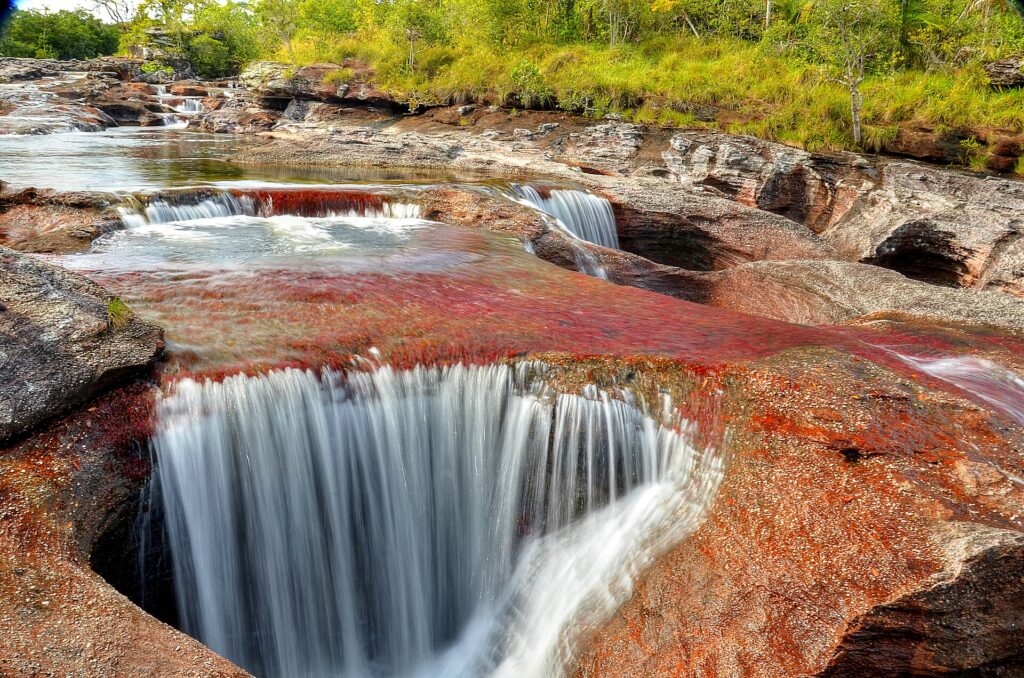 Caño Cristales: el agua cae en una cascada dentro de una poza de roca, rodeada de plantas acuáticas rojas y una orilla con vegetación verde