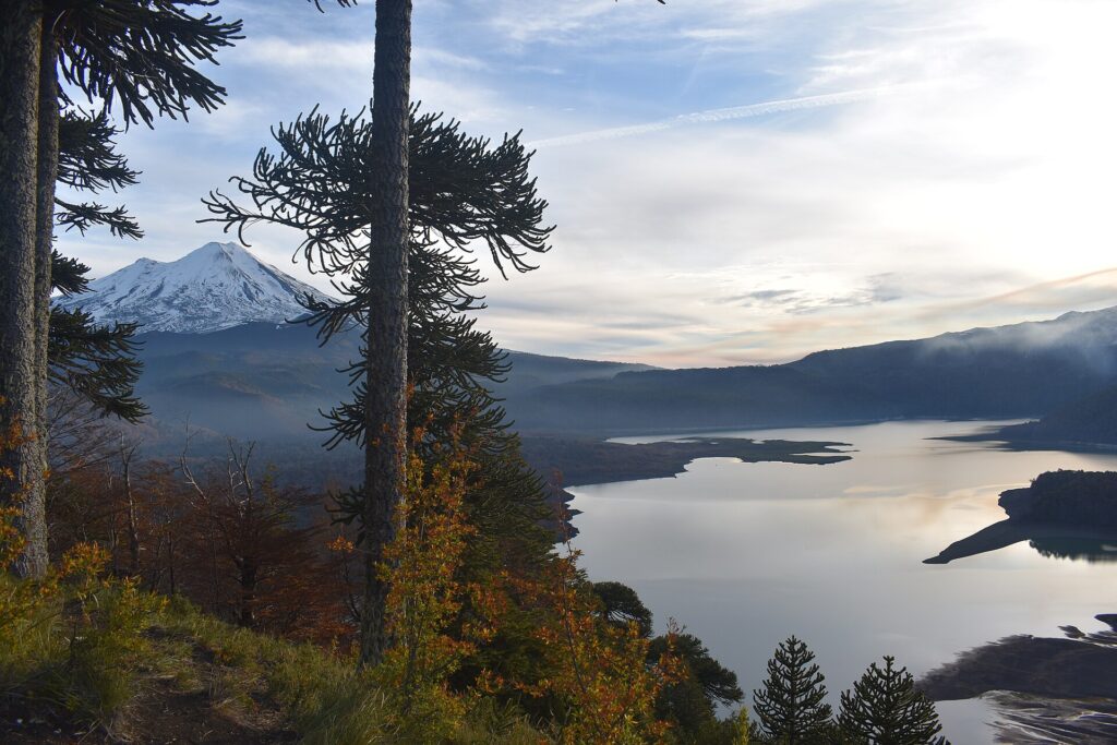 Parque Nacional Conguillío: volcán nevado sobre un lago al atardecer, visto entre troncos de araucarias y arbustos con hojas rojizas