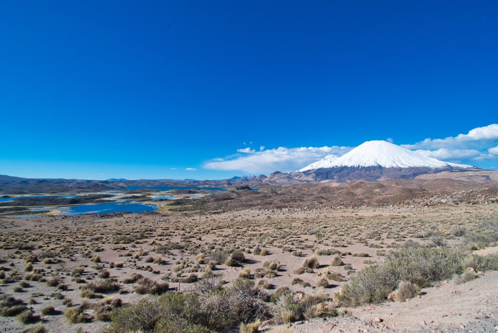 Parque Nacional Lauca: el volcán Parinacota cubierto de nieve se alza tras lagunas azules y una planicie de arbustos secos, bajo un cielo azul intenso