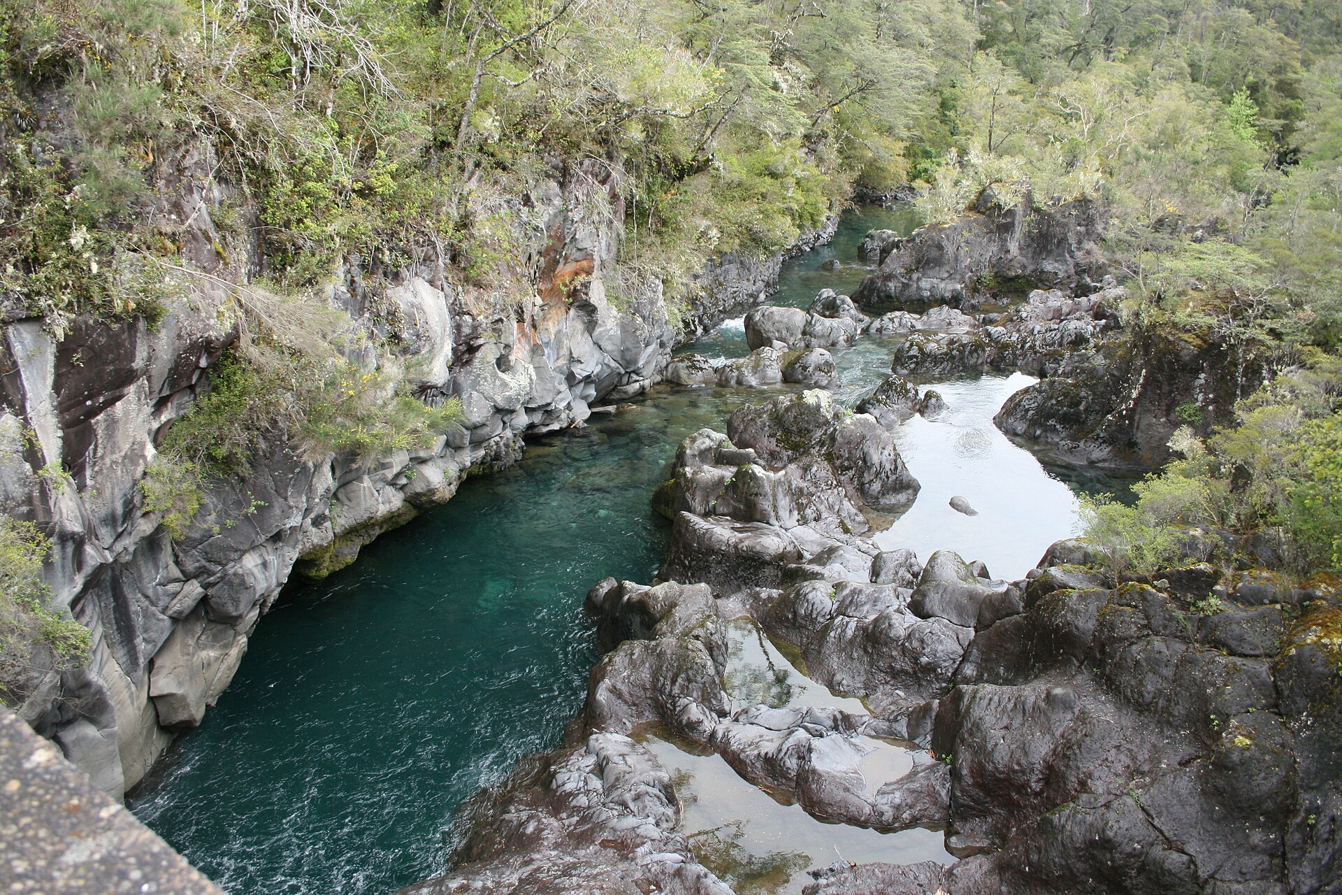 Parque Nacional Vicente Pérez Rosales: río de agua verde que corre entre grandes rocas grises en los Saltos del Petrohué, rodeado de arbustos y árboles